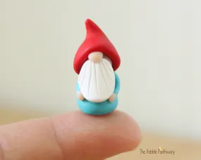 Itty bitty gnomes - a teeny tiny gnome to bring you good luck